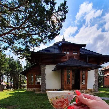 Vila Panic Златибор Екстериор снимка