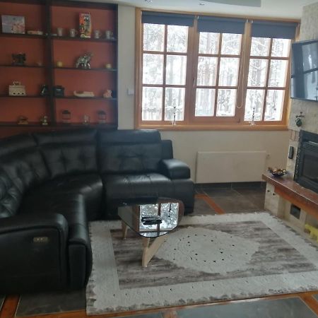 Vila Panic Златибор Екстериор снимка
